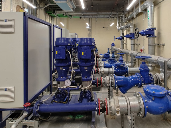 Plumbing and Drainage Systems